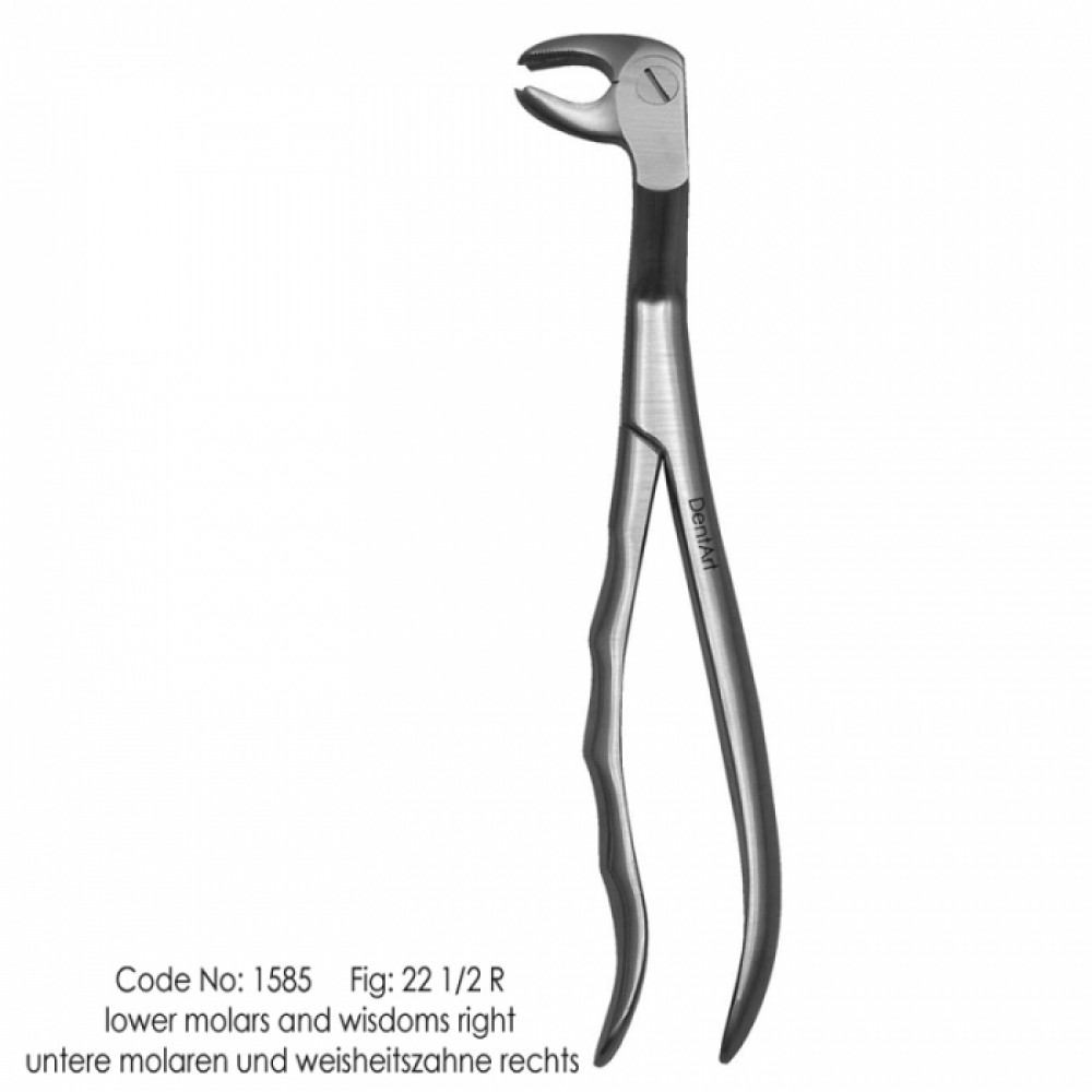 Extraction Forceps. Fig No.22 1/2 R - UK Type